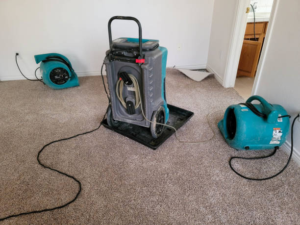 Best Commercial water damage restoration  in Tompkinsville, KY