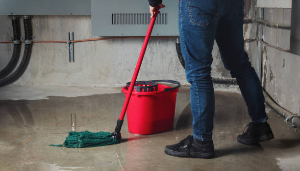 Best 24-hour water damage restoration  in Tompkinsville, KY