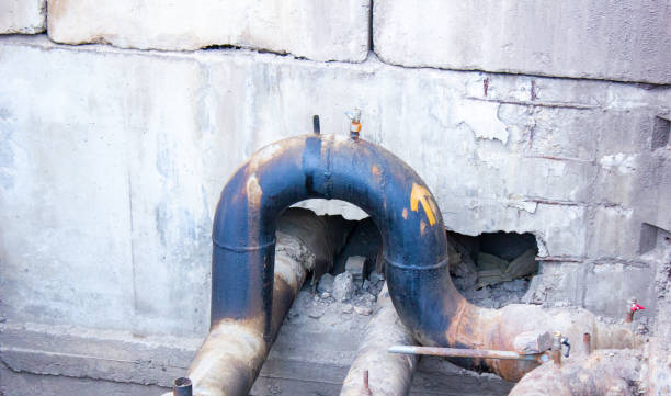 Best Ceiling water damage repair  in Tompkinsville, KY